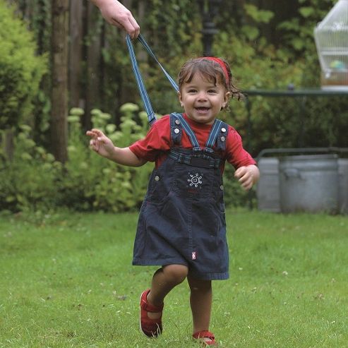 Image of Safety 1st Safety Harness