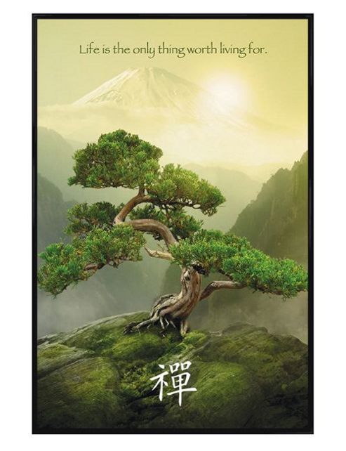 Image of Zen Mountain Top Gloss Black Framed Life Is The Only Thing Worth Living For Poster