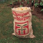 Potato Sacks - 5 sacks