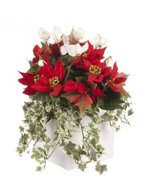 Image of Artificial Red Poinsettia, White Cyclamen And Variegated Ivy Display In A Gloss White 20cm Square Planter