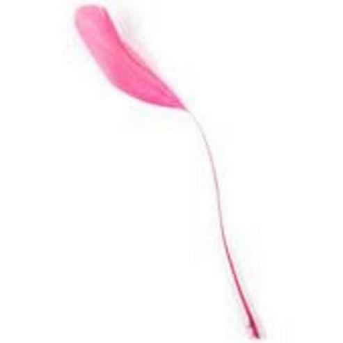Image of Stripped Coque Cerise 5 Pk
