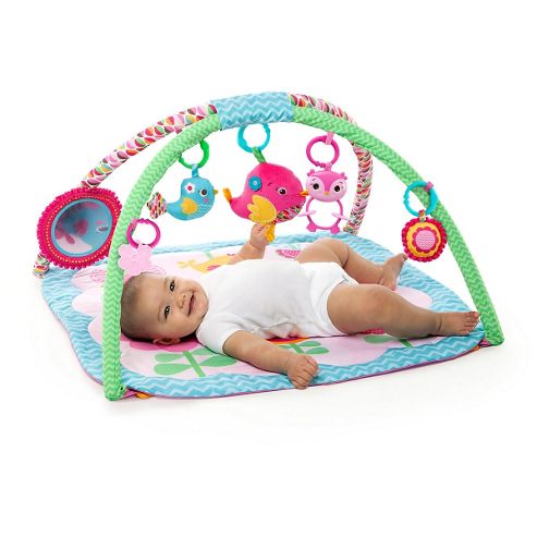 Image of Bright Starts Bloomin Birdies Activity Gym