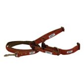 Hyper Pet Heartfelt Dog Lead