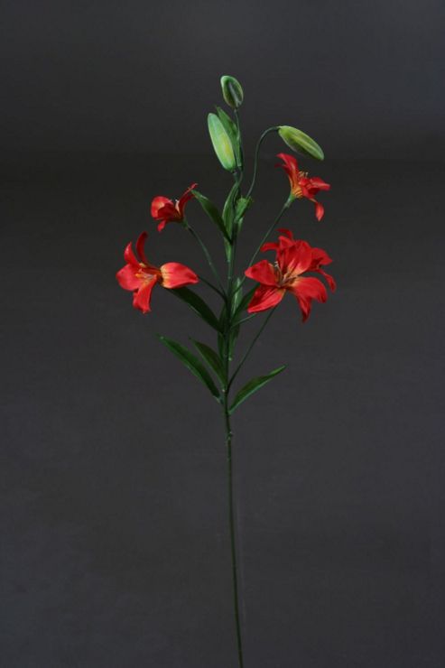 Image of Artificial 75cm Single Stem Multi Headed Red Asiatic Lily