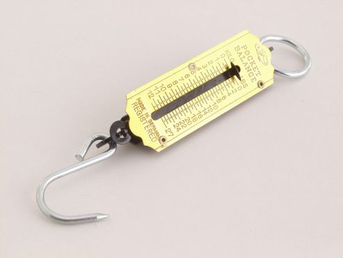 Image of Worldwide 211 27lb Spring Sclaes