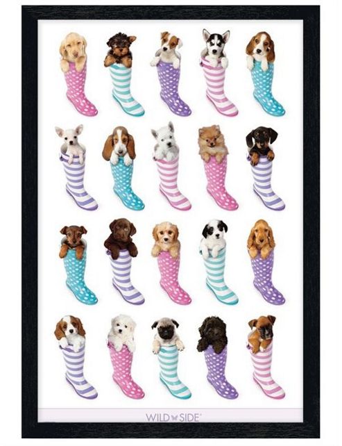 Image of Wildside Black Wooden Framed Pups In Wellies Poster