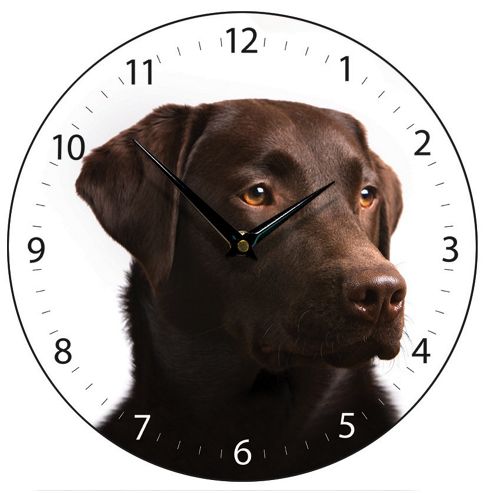 Image of Smith & Taylor Chocolate Labrador Dog Wall Clock
