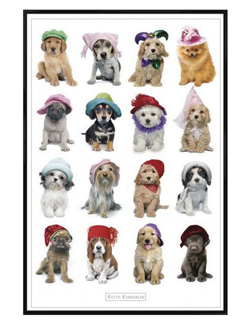Image of Keith Kimberlin Gloss Black Framed Dogs In Hats Poster