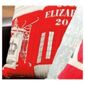 Tesco BB Queen Jubilee Cushion, Red