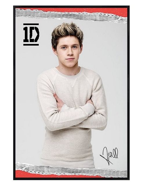 Image of Gloss Black Framed One Direction Niall Signature Poster