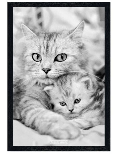 Image of Keith Kimberlin Black Wooden Framed Cat And Kitten Poster