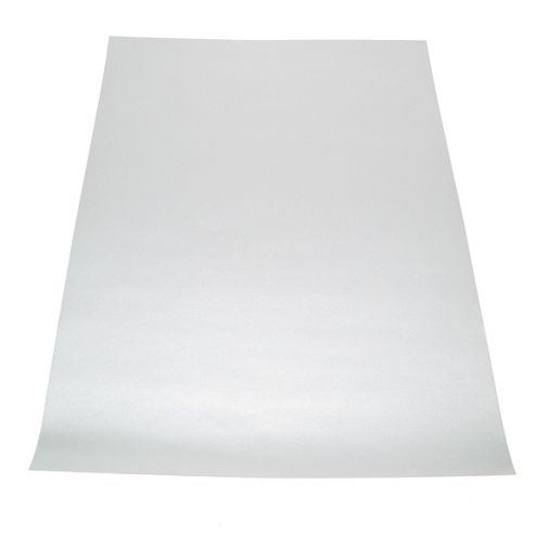 Image of Canford Paper A4 Frosted Silvr