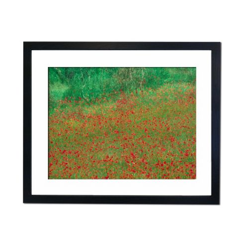 Image of Culture Decor Poppy Field Wall Art