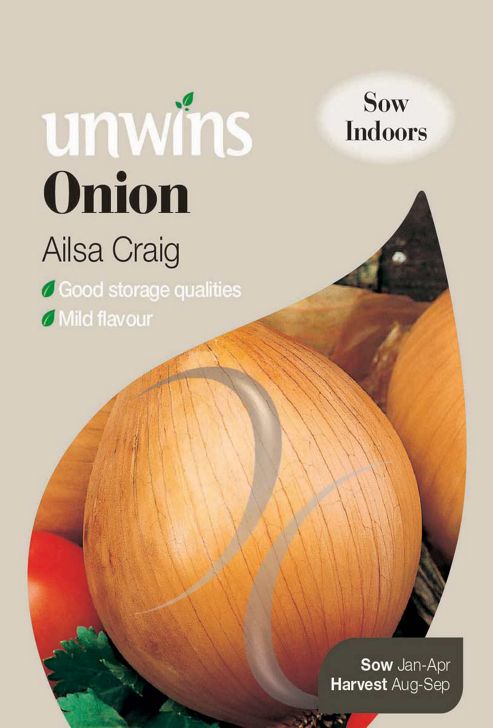 Image of Onion Ailsa Craig