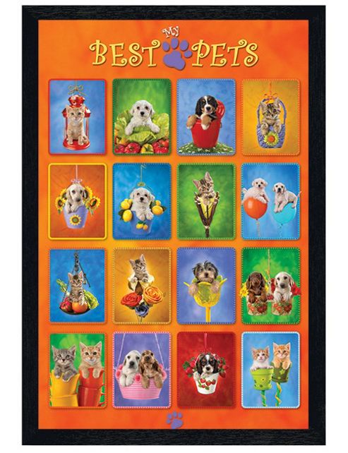 Image of My Best Pets Black Wooden Framed Puppy And Kitten Collage Poster