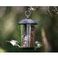 Dual Bird Feeder for Peanuts and Seed
