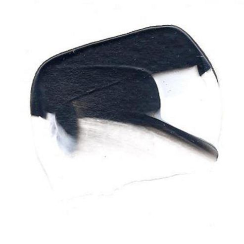 Image of W&n - Gac 60ml Ivory Black