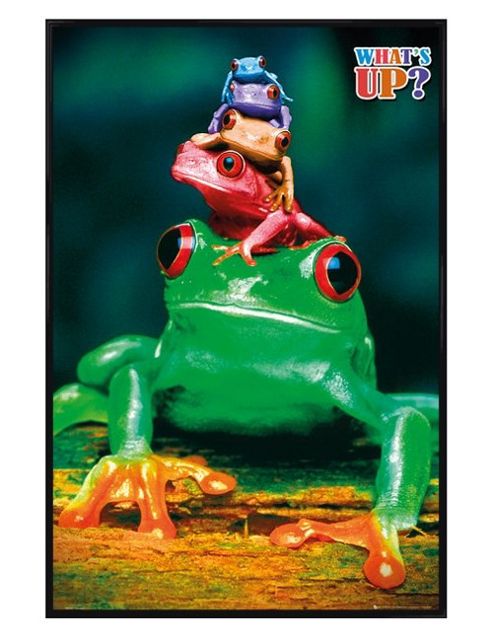 Image of Five Frog Pyramid Gloss Black Framed What's Up? Poster