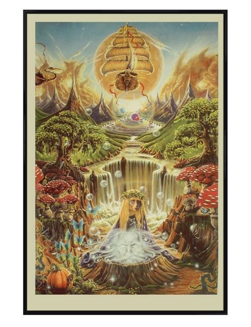 Image of Gloss Black Framed Labyrinth Falls Poster