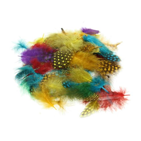 Image of Spotted Feathers - Assorted Colours 7g