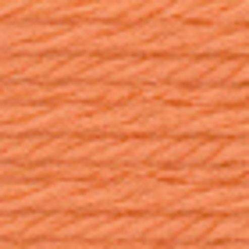 Image of Anchor Tapestry Wool 10mt 8306