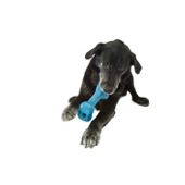 Planet Dog Old Soul Orbee Bone Dog Toy in Teal - Medium (16.51cm D)