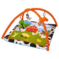 Red Kite Farm Baby Activity Play Gym
