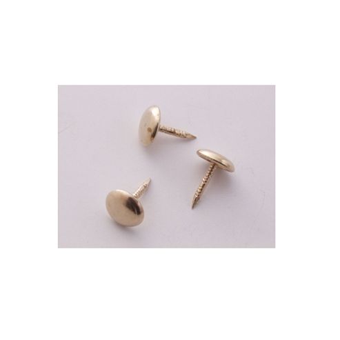 Image of Shaw Upholstery Solstuds Brass 10mmx1000