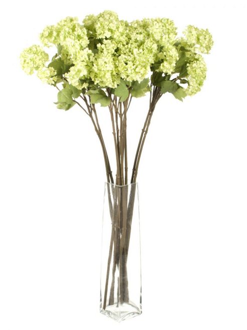 Image of Artificial 86cm Single Stem Multi Headed Green Viburnum Snowball Flowers X 12
