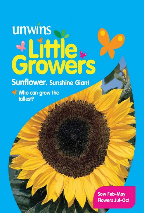 Image of Little Growers Sunflower Sunshine Giant
