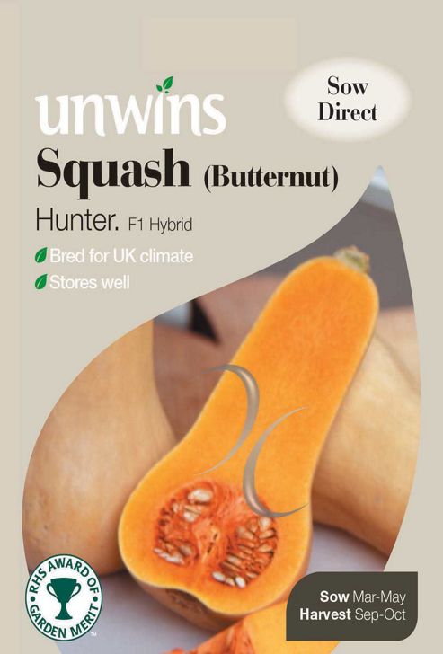 Image of Squash Butternut Hunter F1