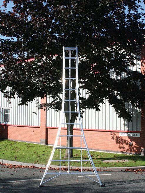 Image of Trade 3.6m (11.98ft) Standard - Garden Hedge Cutting Tripod Ladder