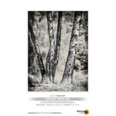PermaJet Portrait White Paper 285g A4 Pack 25 22213