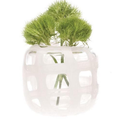 Image of House Additions Black And White Vase - White