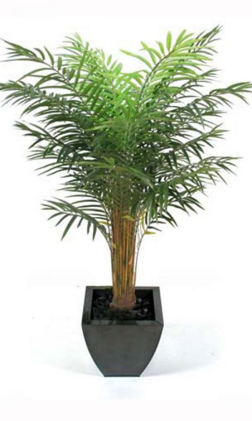 Image of Artificial 6ft 5" Bamboo Palm Tree