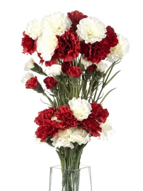 Image of Artificial 70cm Single Stem Multi Headed Carnations X 12 (6 X White And 6 X Dark Red)