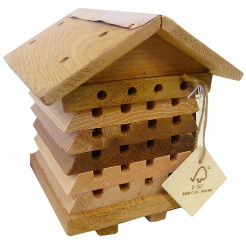 Image of Solitary Bee Hive