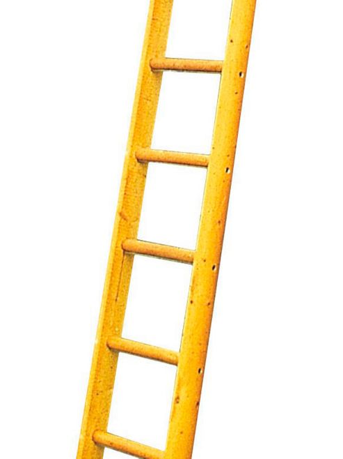 Image of Heavy Duty 6.0m (19.7ft) Timber Single Pole Ladder