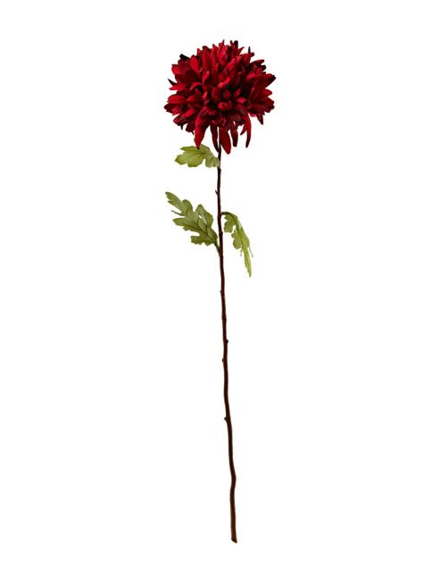 Image of Linea Deep Red Chrysanthemum In Red
