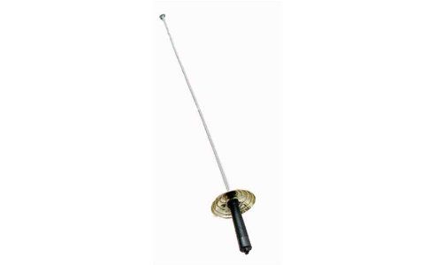 Image of Zorro Sword