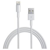 Apple Lightning to USB Cable