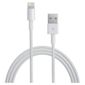 Apple Lightning to USB Cable