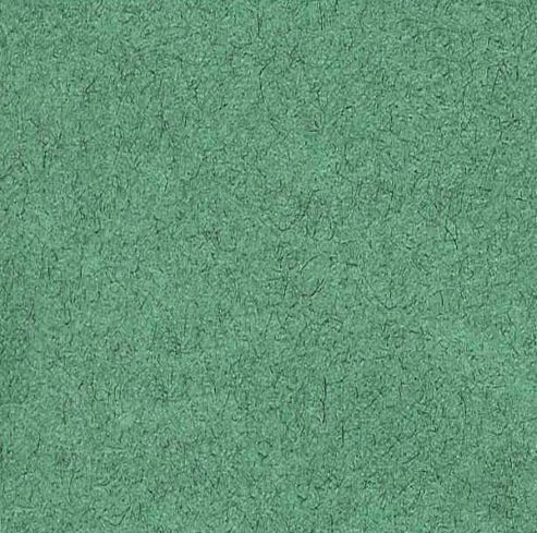 Image of Canson Tissue Paper - Fern Green