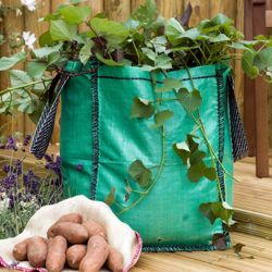 Potato Growing Bags - 4 x 60ltr growing bags