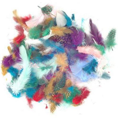 Image of Exotic Feathers