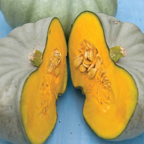 Image of Squash 'crown Prince' F1 Hybrid (winter) - 1 Packet (5 Squash Seeds)