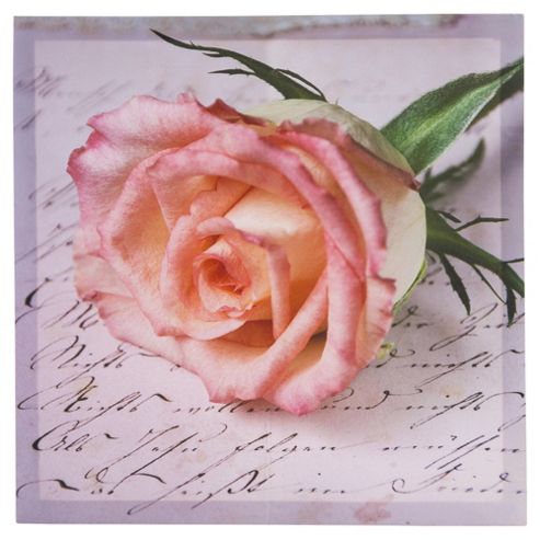 Image of Roses Square Canvas 35 X 35cm