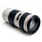 Canon 2578A009 70-200mm f/4L USM Telephoto Zoom Lens