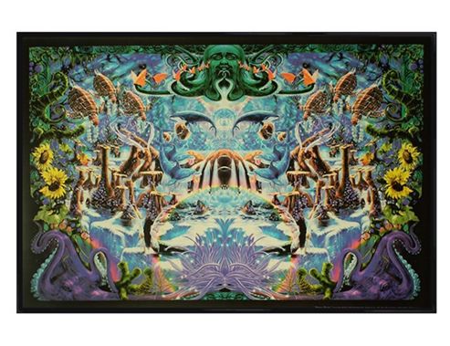 Image of Gloss Black Framed Octopus Garden Poster