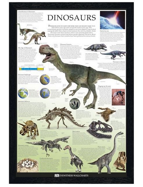 Image of Dorling Kindersley Black Wooden Framed Dinosaurs Poster
